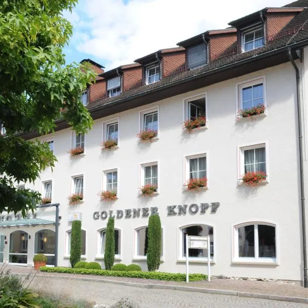 Hotel Goldener Knopf, hotel v destinaci Bad Säckingen