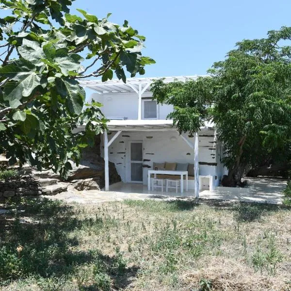 The stone, Hotel in Tinos