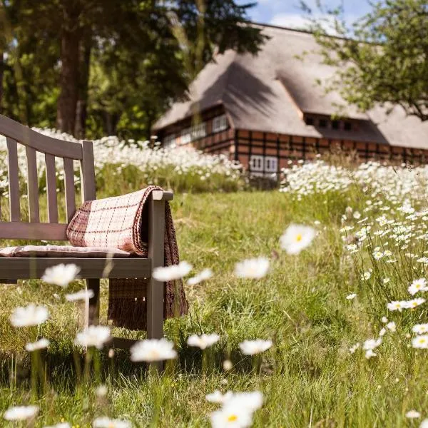 Park am See, HOTEL SPORT SPIRIT, hotel in Groß Nemerow