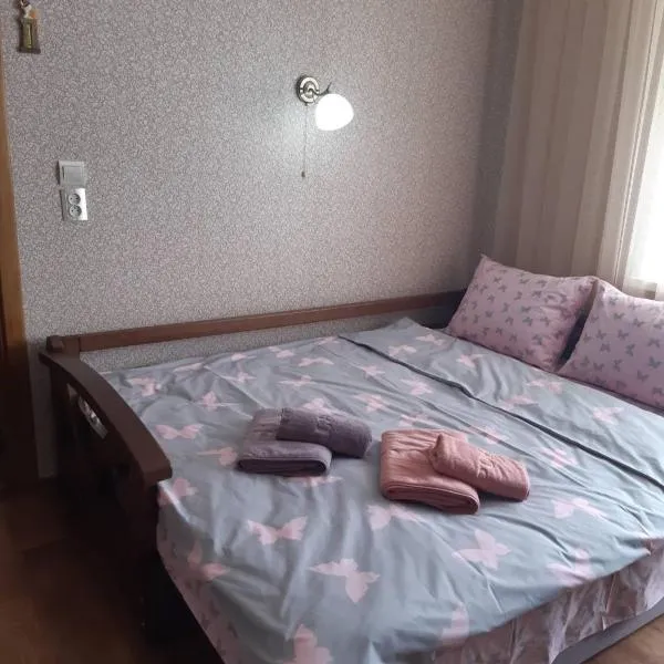 Однокімнатна, hotel a Shepetovka