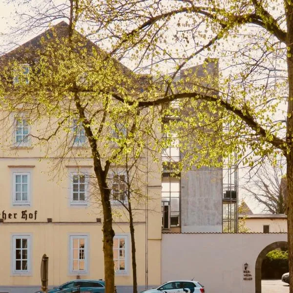 Hotel Lippischer Hof, hotel v destinaci Detmold