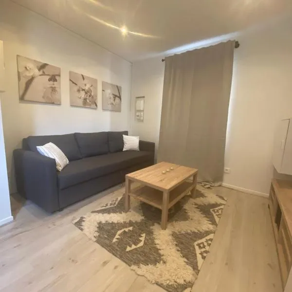 Joli studio calme et lumineux, hotel in Royat