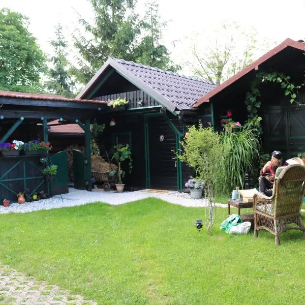Frenkcottage 5 KM FROM THE AIRPORT- FREE TRANSPORTATION、シェンチュルのホテル