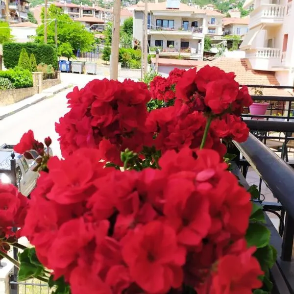 Chrysandra, hotel v destinaci Karpenisi