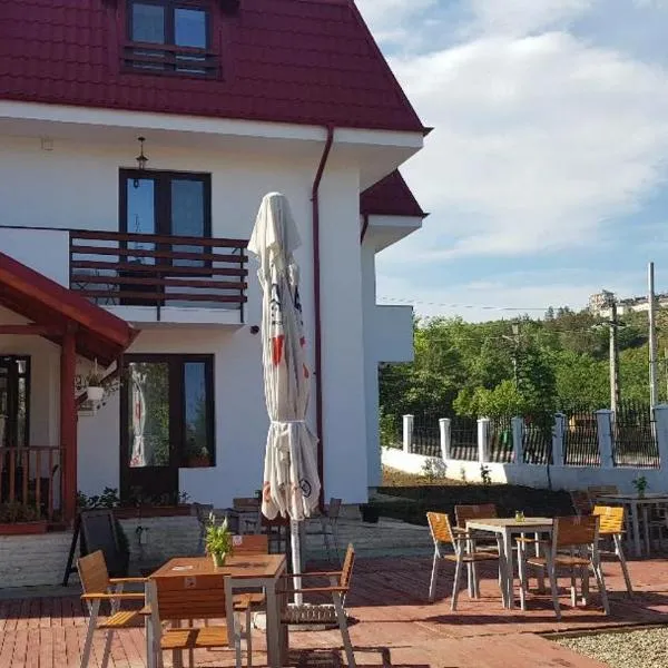 PENSIUNEA BERCA, hotel in Pleşcoi