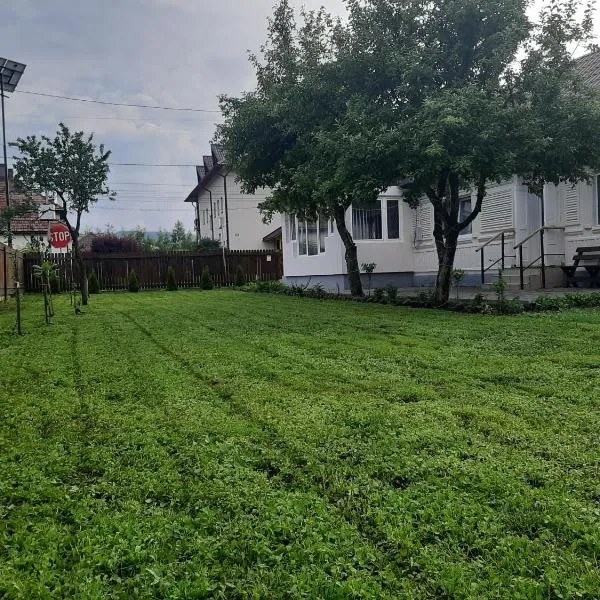PENSIUNEA CRISTINA, hotel v destinaci Topliţa