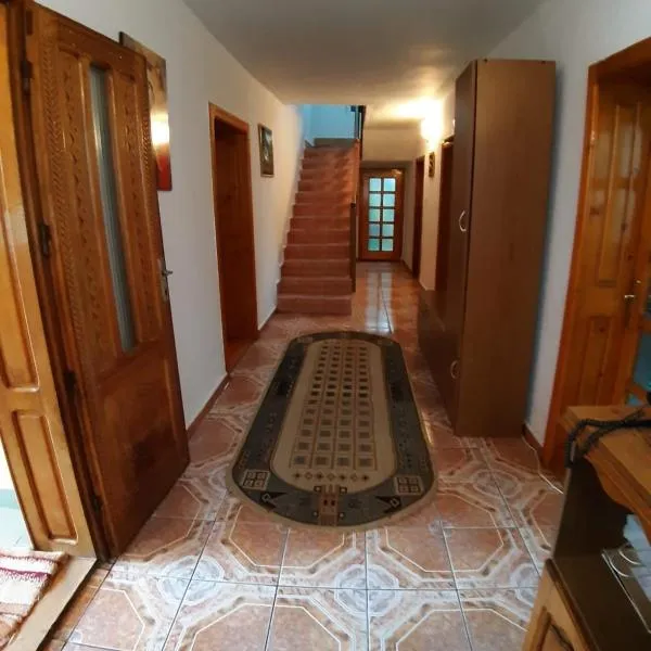 Pensiunea Covaciu, hotel in Valea Vişeului