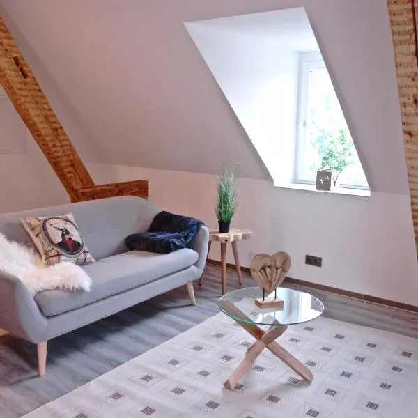 Dom-i-Ziel Apartments, hotel in St. Blasien