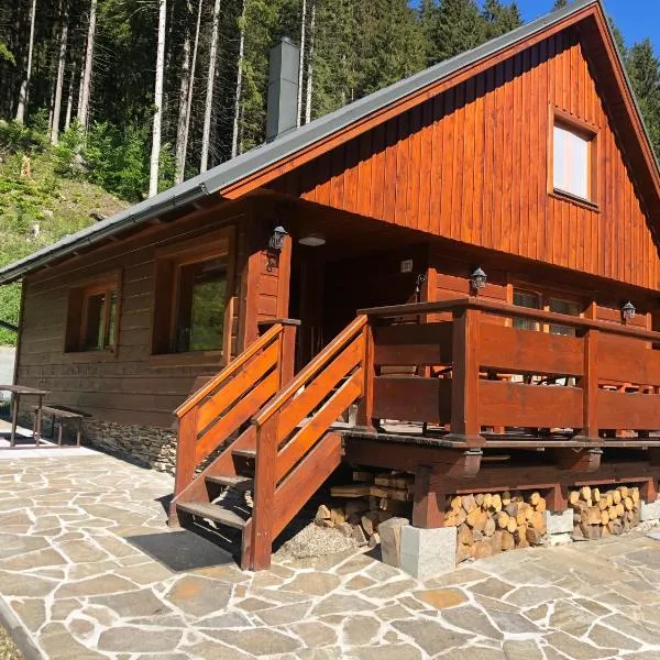 Areál Lesková, hotel a Velké Karlovice