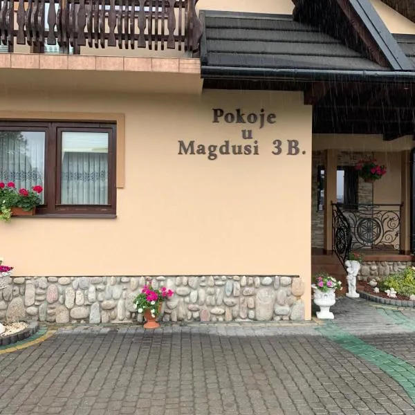 Pokoje u Magdusi przy termach, hotel u gradu Vitov