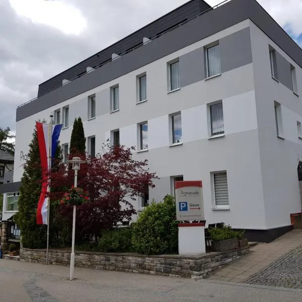 Hotel Promenade, hotel in Schwarzenbach am Wald