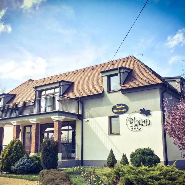 Penzion Platan, hotel v destinaci Ňárad