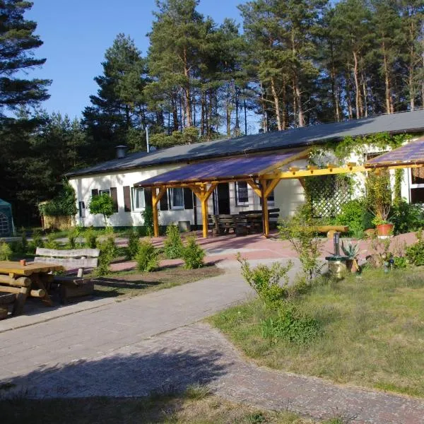 Hostel Waldhaus Am Ferienpark Mirow -Zimmer DU WC, hotel v destinaci Mirow
