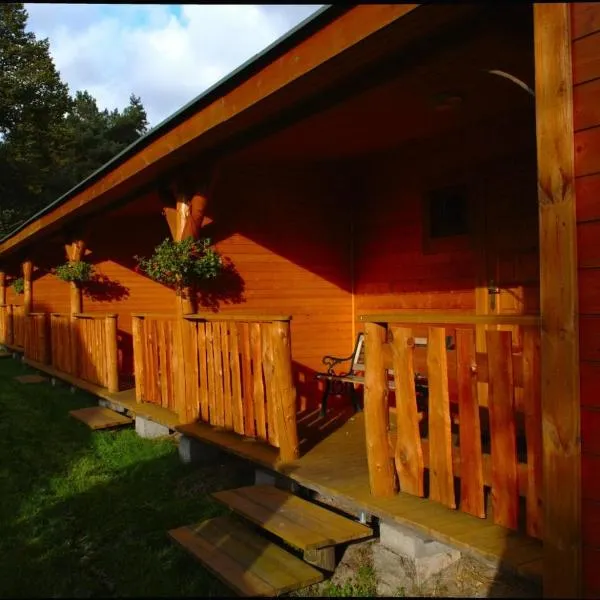 Domki Mikoszewo, hotel Mikoszewóban