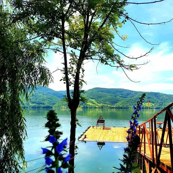 에셀니타에 위치한 호텔 Pensiunea Maria Teodora