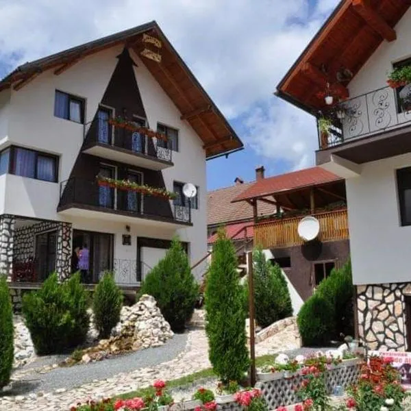 Pensiunea Filonul de Aur, hotel v destinaci Aktenburg