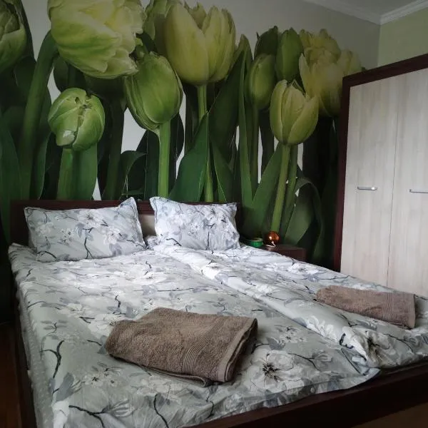 2 Bedrooms with private Bath and balcony near the Airport, hotel di Bakyovo