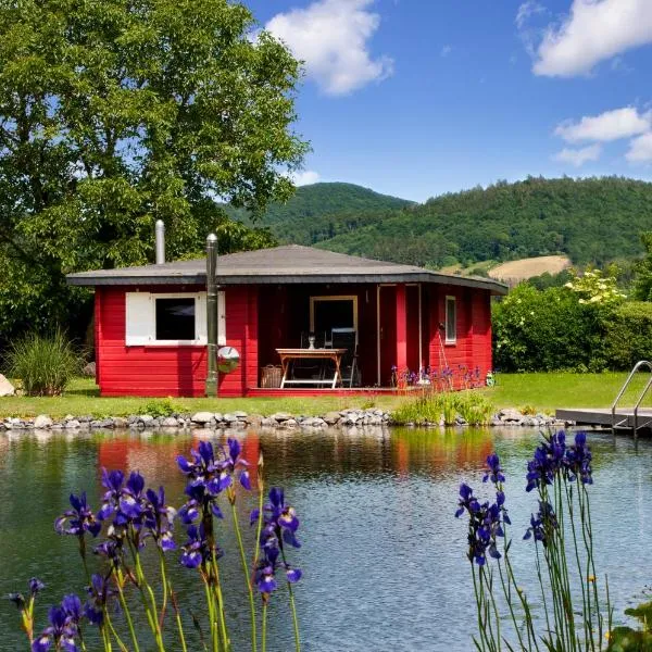 Romantic Wooden Lodge,Sauna,Schwimmteich,alleinstehend,absolut ruhig, hotel in Hessisch Oldendorf