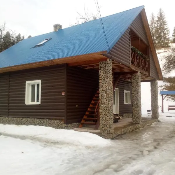 "Відпочинок в Карпатах", hotel v destinaci Izky