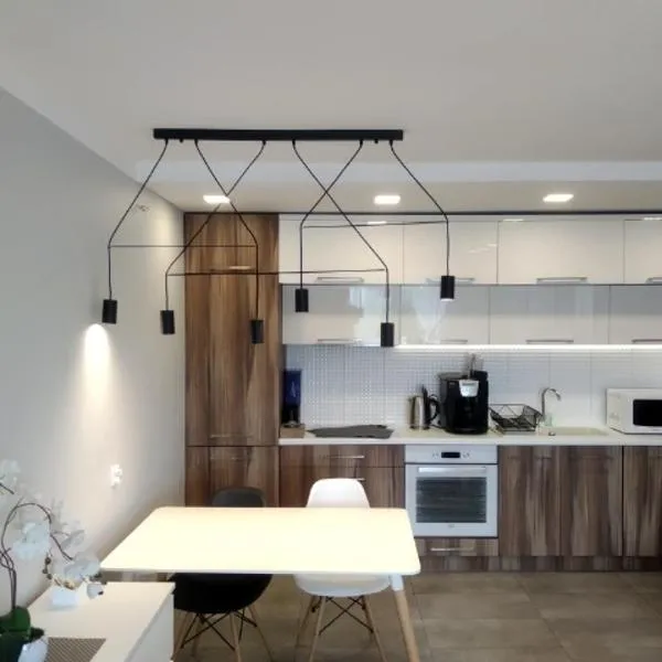 Family & Business Elegant Apartments Rynek Centrum Downtown - 2 Bedroom, Balcony, Parking, hotel in Kielce