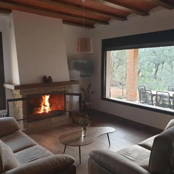 Casa Rural Las Nueces，波索阿爾孔的飯店