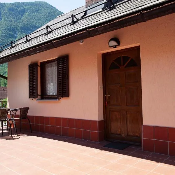 Apartma Lesjak 1, Hotel in Bovec