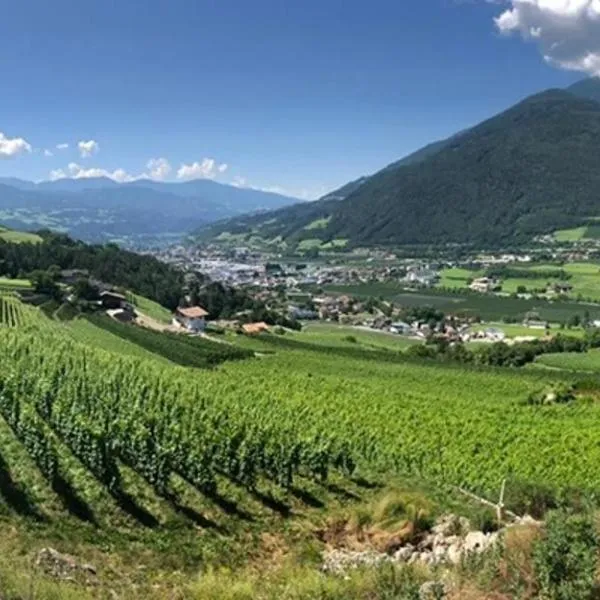 BUEHLERHOF Agriturismo, Obst-&Weingut, Urlaub mit Hund, Pferde, Bauernhof, Brixen, hôtel à Rosa