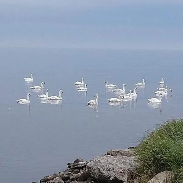 Takvåning-Borgholm, готель у місті Борґгольм