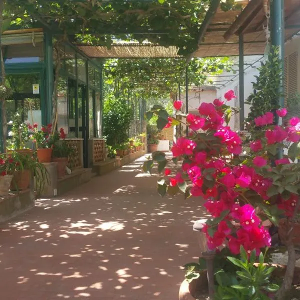 Villa dei fiori B&B, khách sạn ở Capri