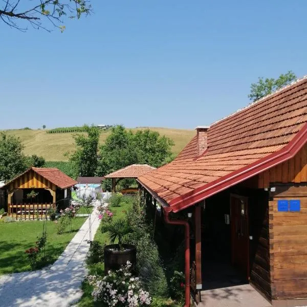 Pod orehom drvena kuća i sauna, hotel u gradu Krapina