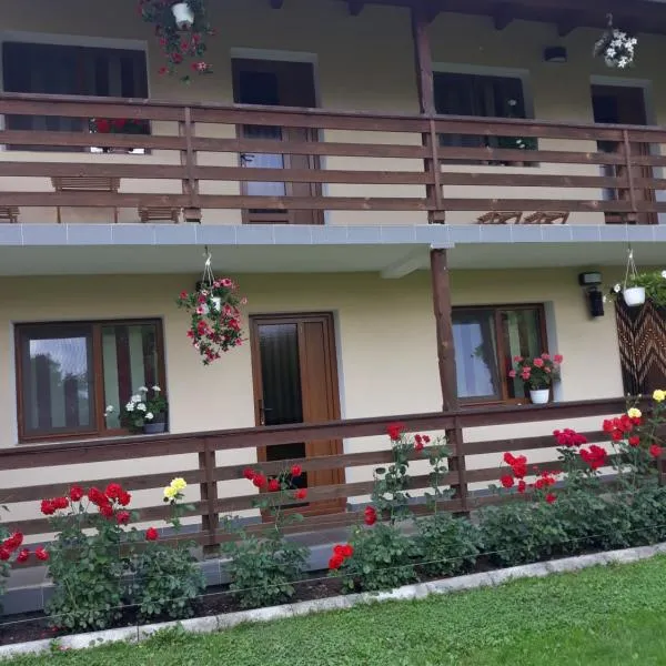 Casa Monika Ciocarliei, hotell sihtkohas Sovata