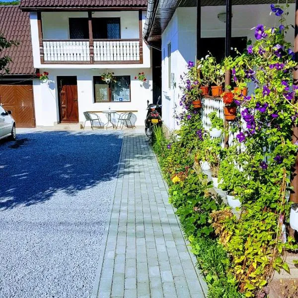 Casa Șallai, hotel v destinaci Sovata