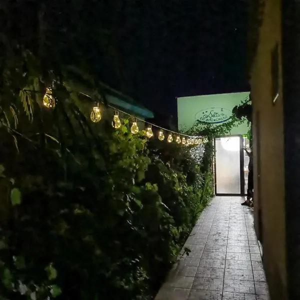 Delta ca Odinioara, hotel in Sulina