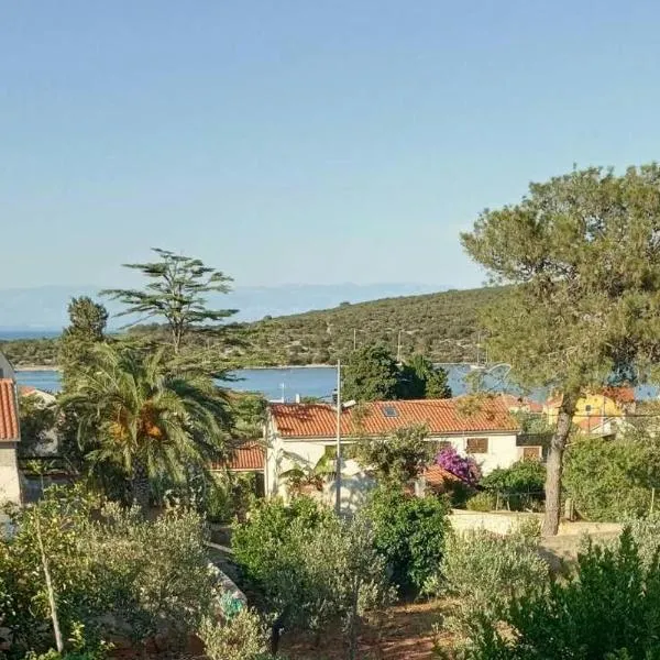 Seaview Apartment Ilovik, hotel a Ilovik