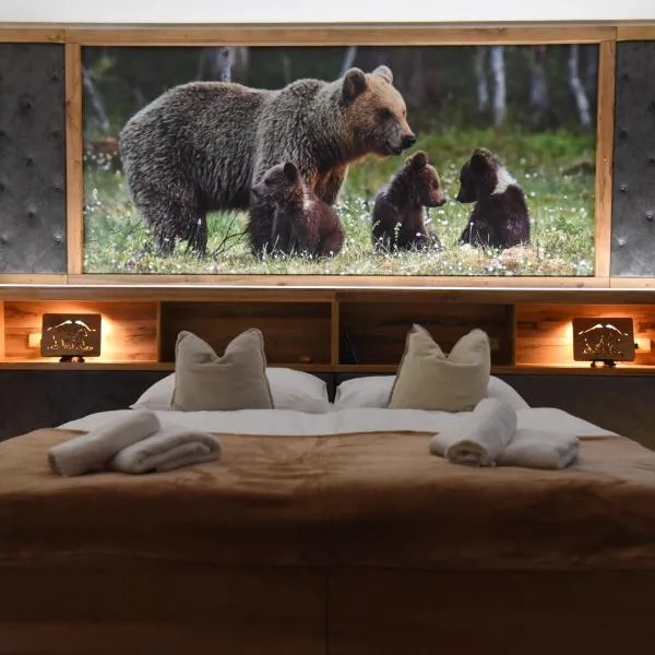 PENZION U MEDVĚDA, hotel v Frýdku Místku
