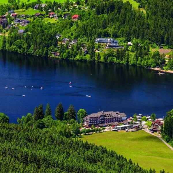 Maritim Titisee Hotel, hotel in Titisee