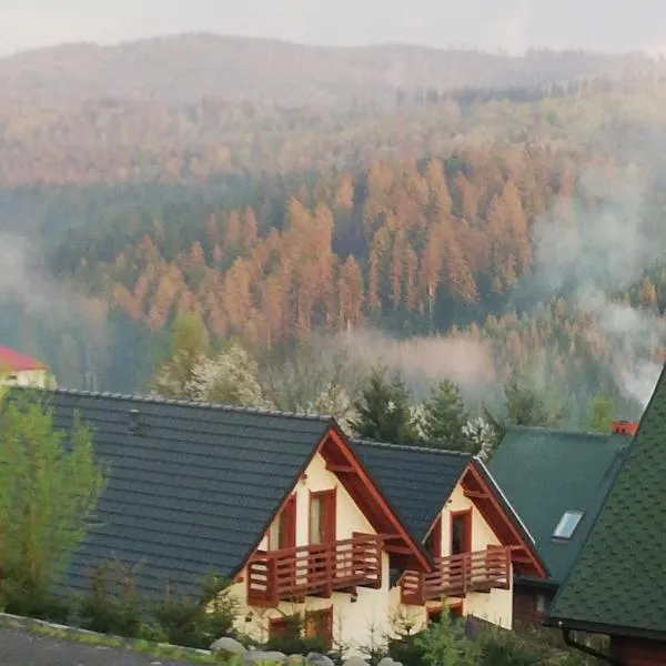 Domek u Małysza Istebna, hotel v destinaci Istebna