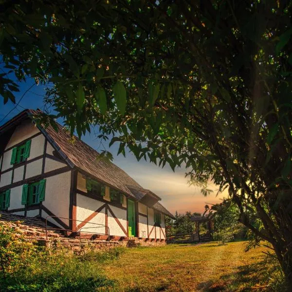 Etno Village Cardaci, hotel in Vitez