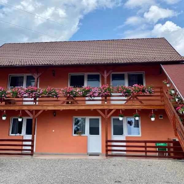 Casa Gabriela, hotel v destinaci Sovata