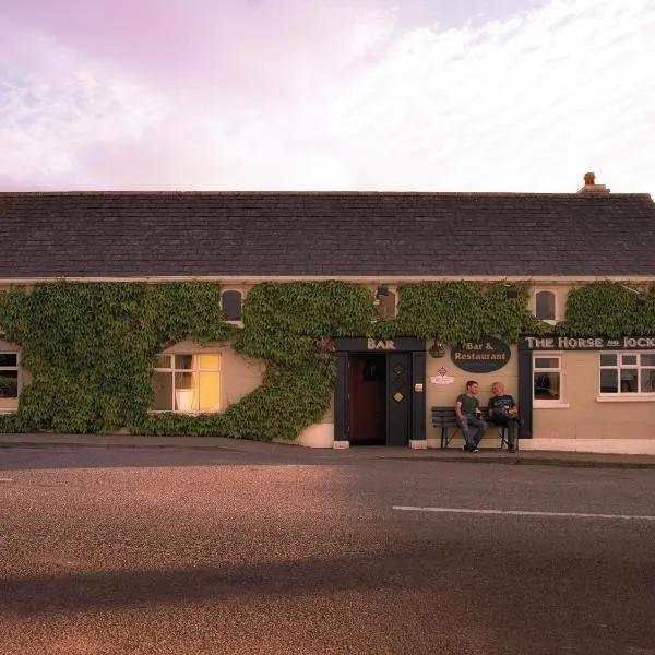 Horse & Jockey Hotel, hotel in Thurles