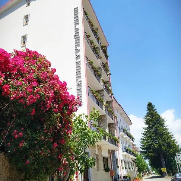 Hotel Aquila & Edelweiss, hotel in Camigliatello Silano