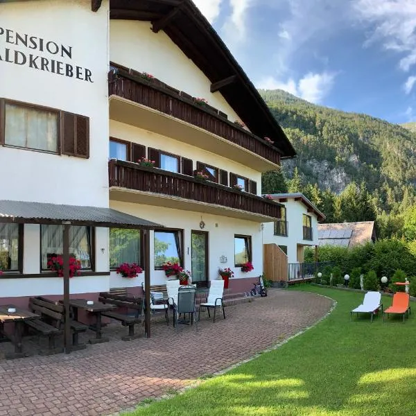 Pension & Apartments Waldkrieber, hotel em Presseggersee
