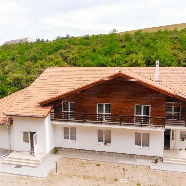 Pensiunea Aureliano, hotel v destinaci Răchita