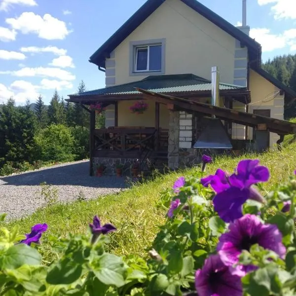 Котедж "Зорі Карпат", hotel v destinaci Slavske