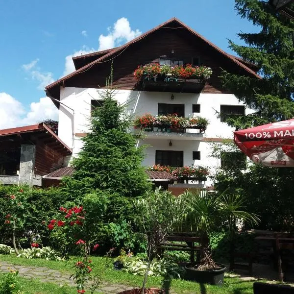 Pensiunea Liziera, hotel di Buşteni