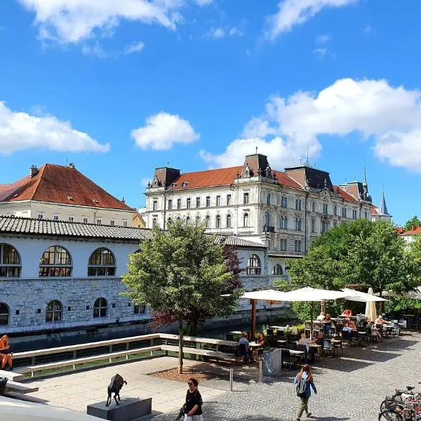 Petkovšek Rooms and Apartments, hotell Ljubljanas