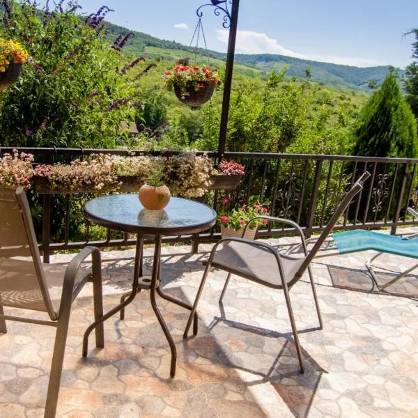 Pure Nature Refuge Apartment, hotel di Lipova