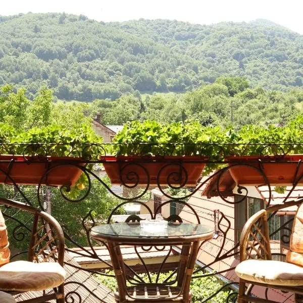 시비엘에 위치한 호텔 Casa Ciortea Ana