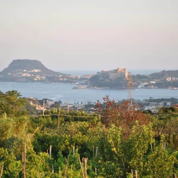 Puteoli house, hotel v destinaci Pozzuoli