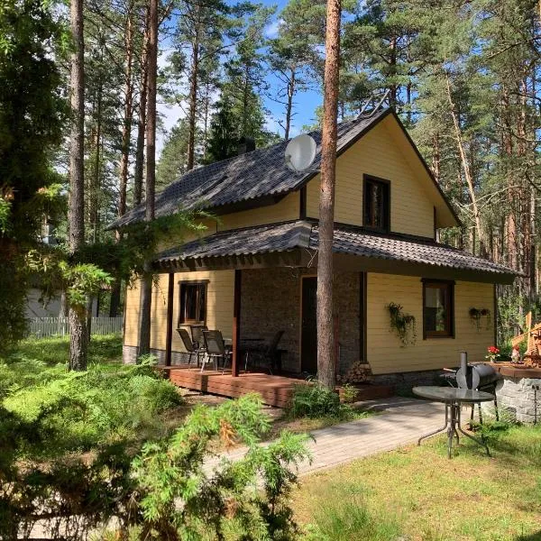 Kammelja Puhkemajad, hotel in Kauksi